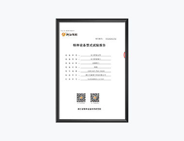 Special Equipment Type Test Report - Gate Valve 2